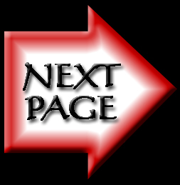 NEXT PAGE